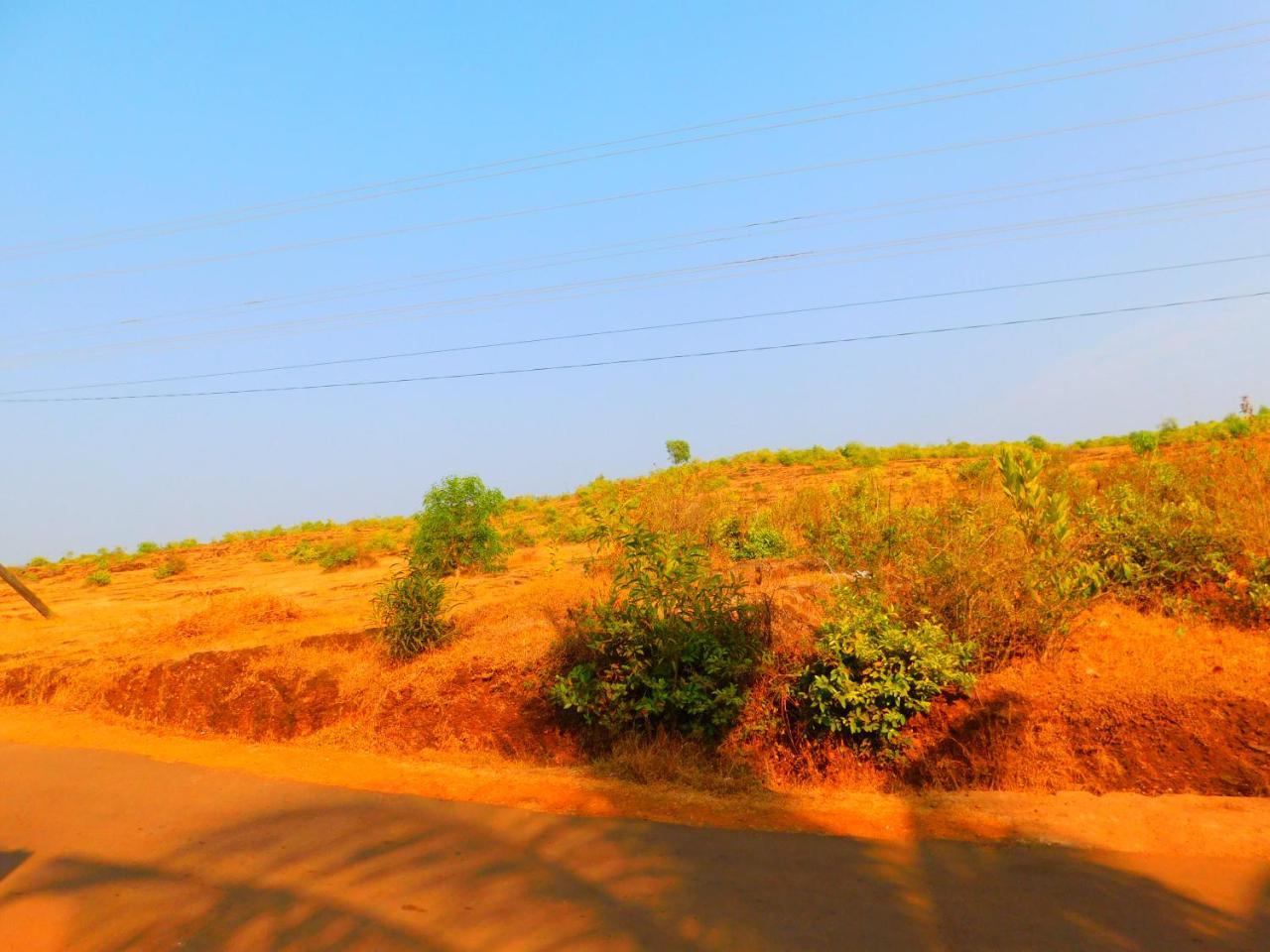 Coconut Tree Resort Gokarna ゴカルナ エクステリア 写真